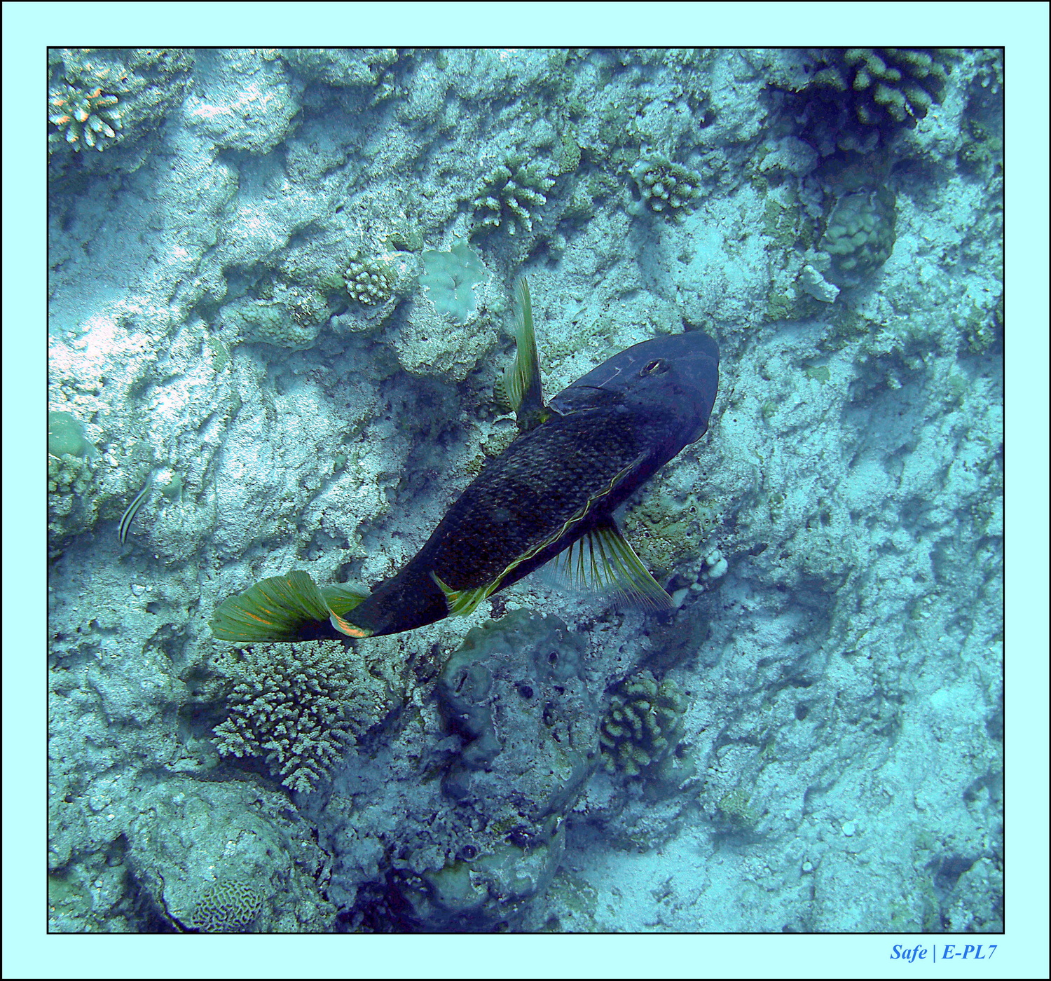 2023 - 07 - Sandies Bathala - 113